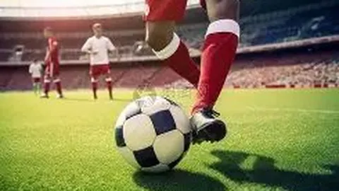 凯发娱乐 产品 050232 jfp