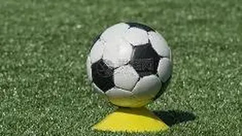 凯发娱乐 产品 115356 67f