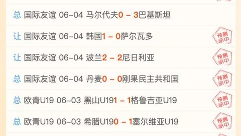 2026世界杯主帅魅力榜：图赫尔领跑，安切洛蒂垫底，阿尔及利亚教头夺魁